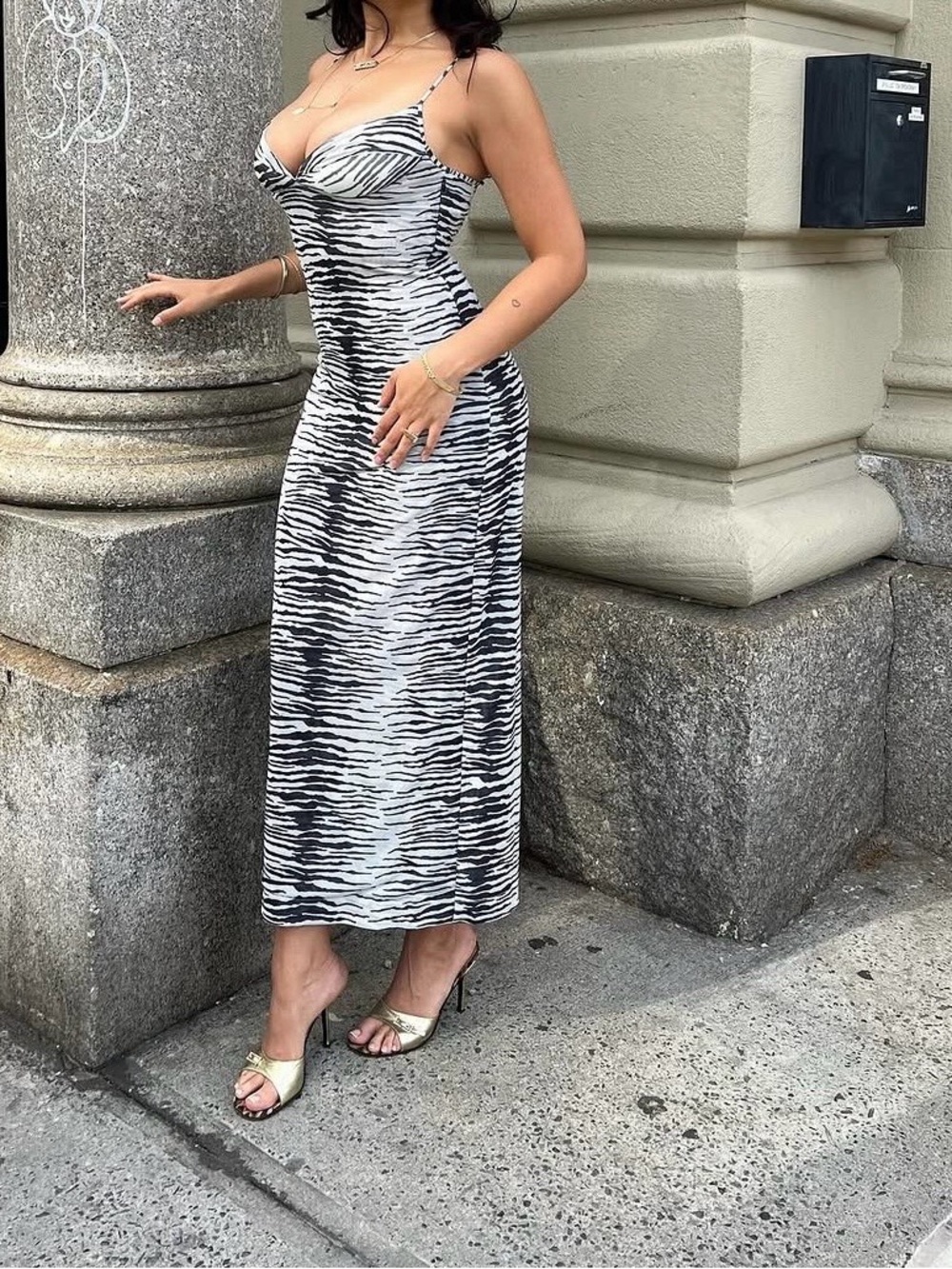 NWT Miaou Florence Dress in Zebra Size Large - Picture 1 of 8